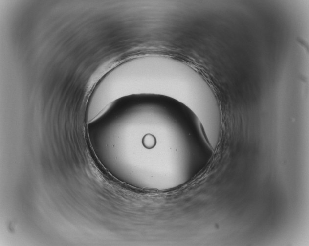 X0000100870004200807071113