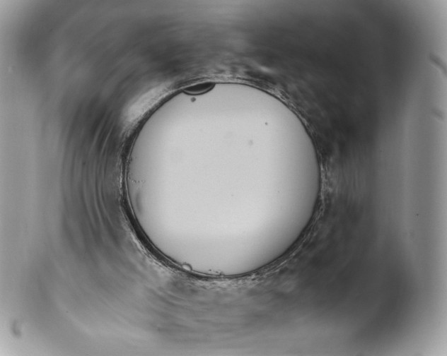 X0000100870005200807071113