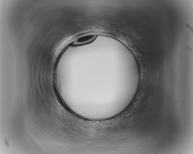 X0000100870007200807071113