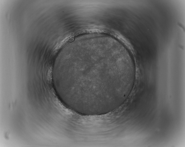 X0000100870009200807071113