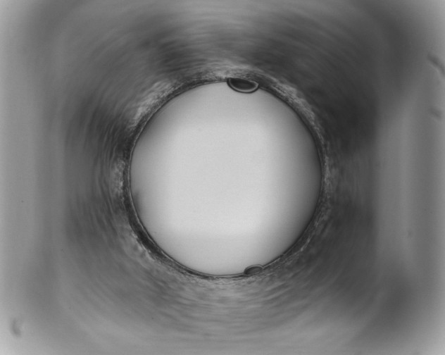 X0000100870010200807071113