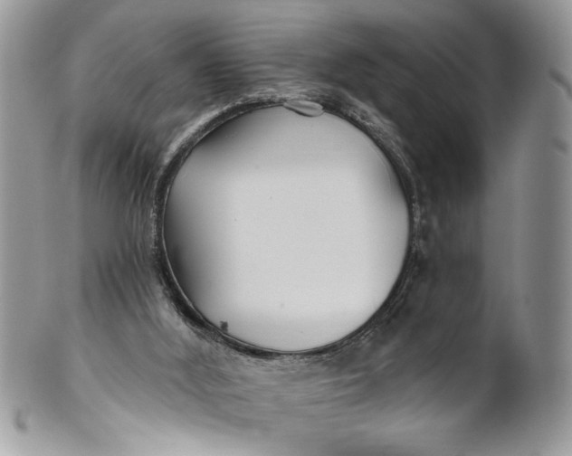 X0000100870012200807071113