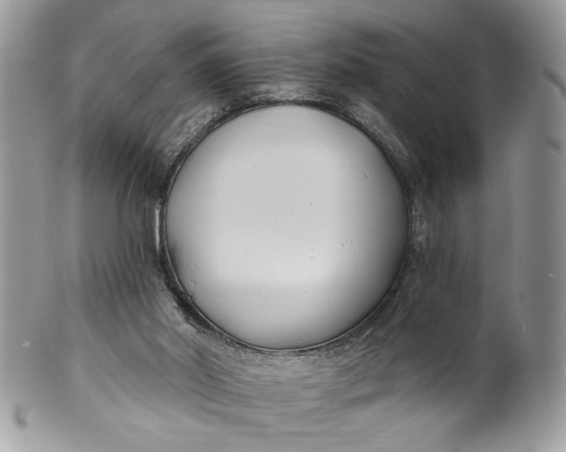 X0000100870014200807071113