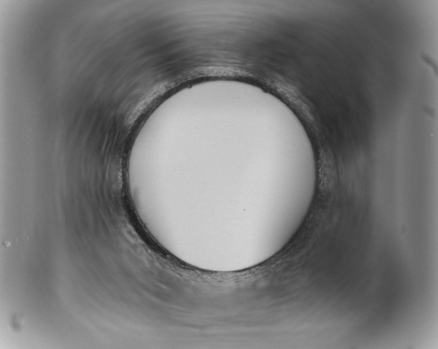 X0000100870015200807071113