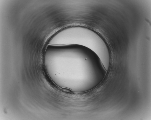 X0000100870016200807071113