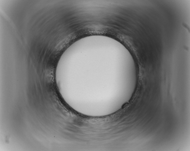 X0000100870017200807071113