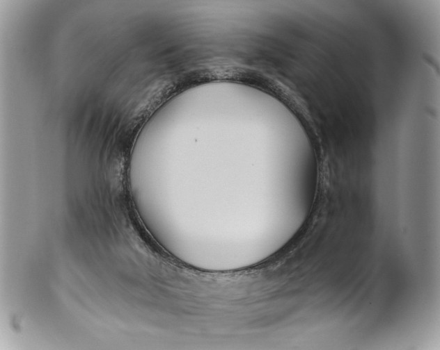 X0000100870018200807071113