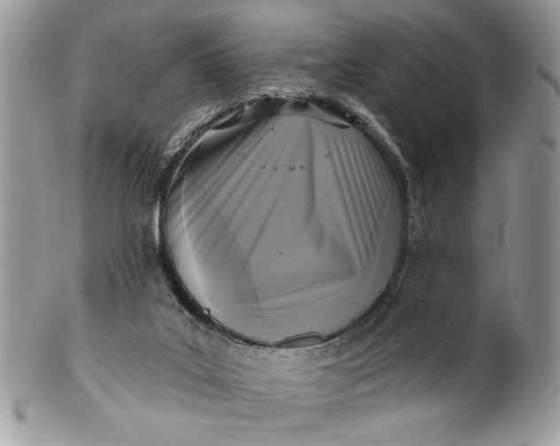 X0000100870019200807071113