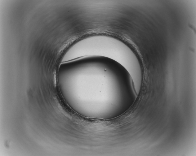 X0000100870020200807071113