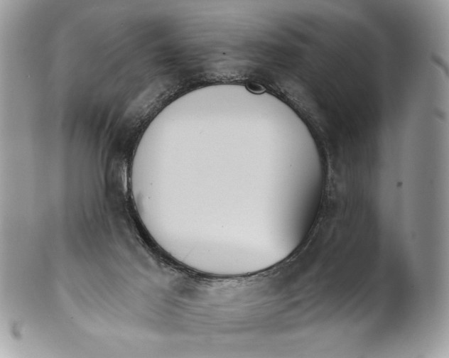 X0000100870021200807071113