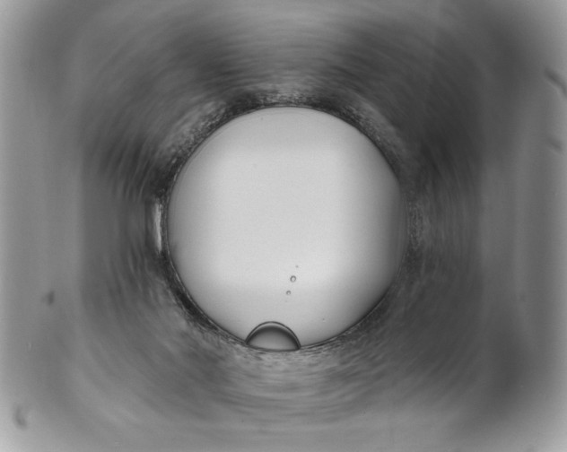 X0000100870022200807071113