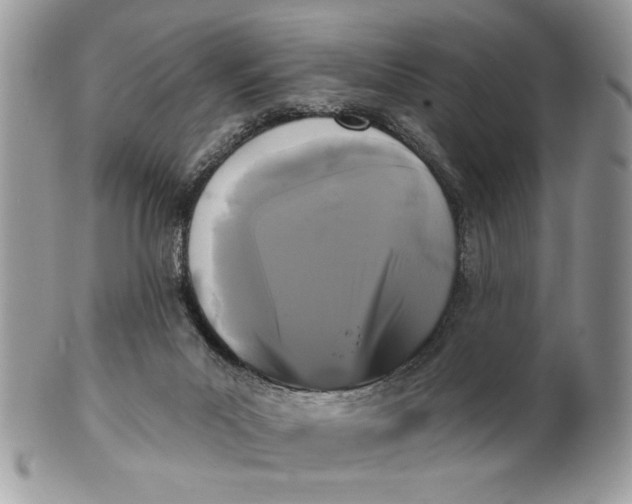 X0000100870023200807071113