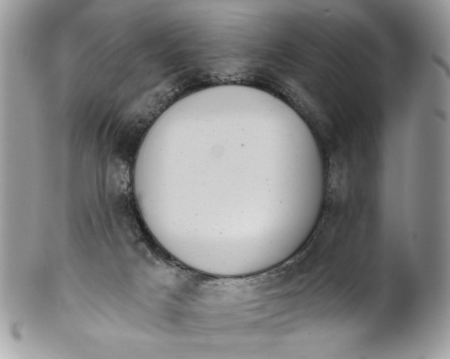 X0000100870025200807071113