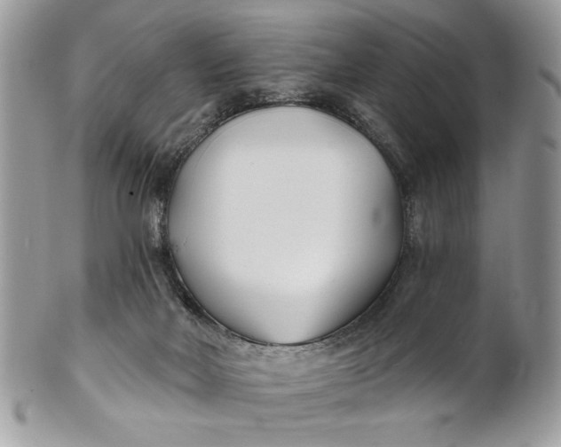 X0000100870026200807071113