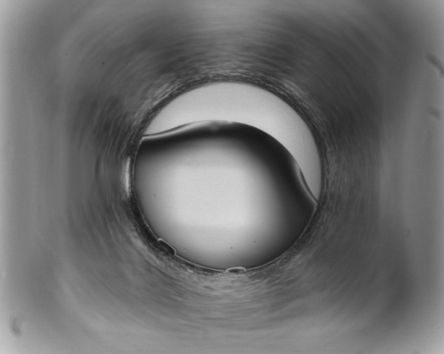 X0000100870028200807071113