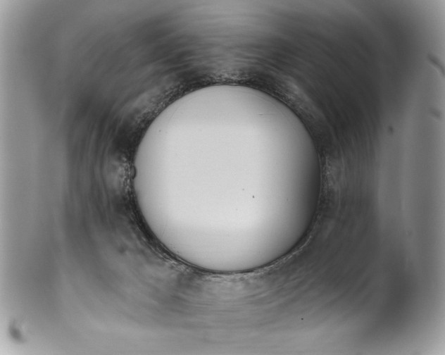 X0000100870029200807071113