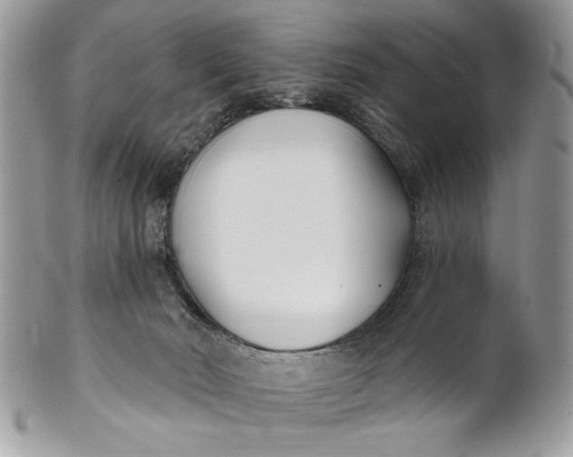 X0000100870030200807071113