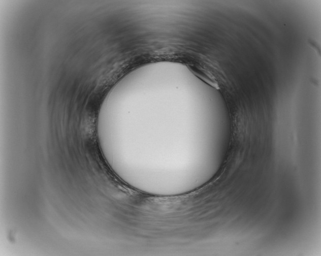 X0000100870033200807071113