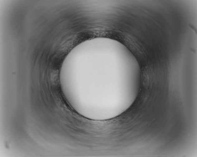 X0000100870034200807071113