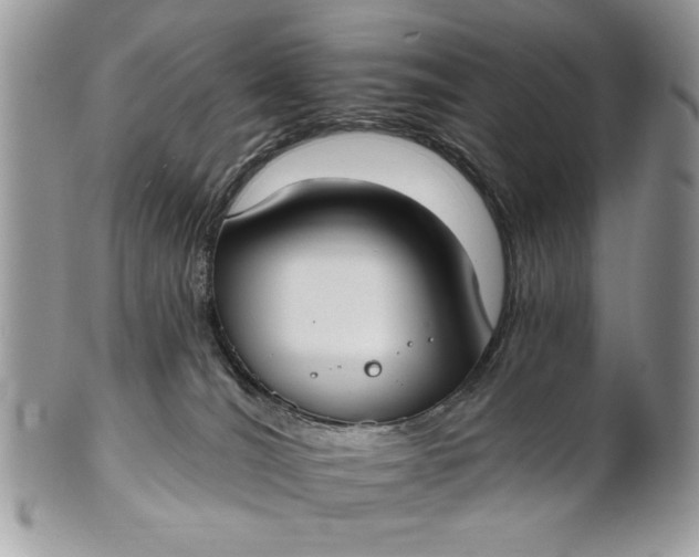 X0000100870036200807071113