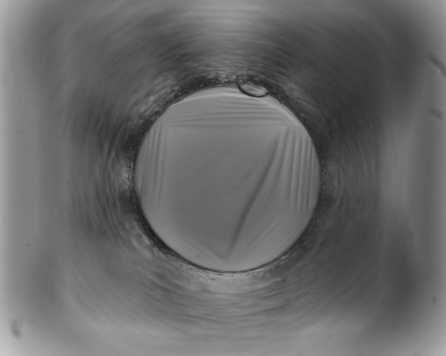 X0000100870039200807071113