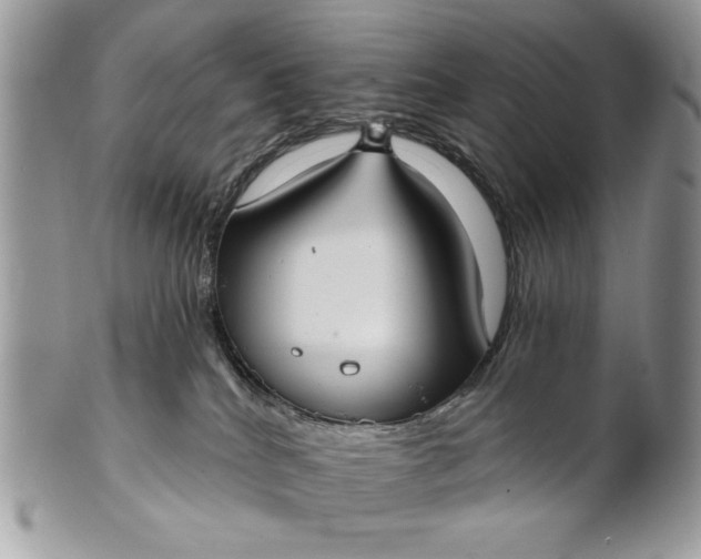 X0000100870040200807071113