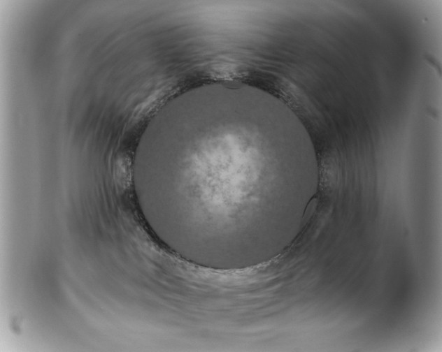 X0000100870043200807071113