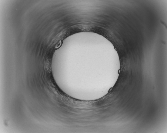 X0000100870044200807071113