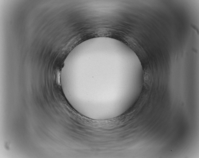 X0000100870046200807071113