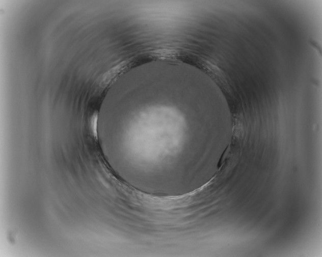 X0000100870047200807071113