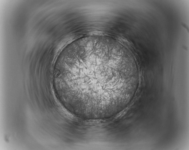 X0000100870049200807071112