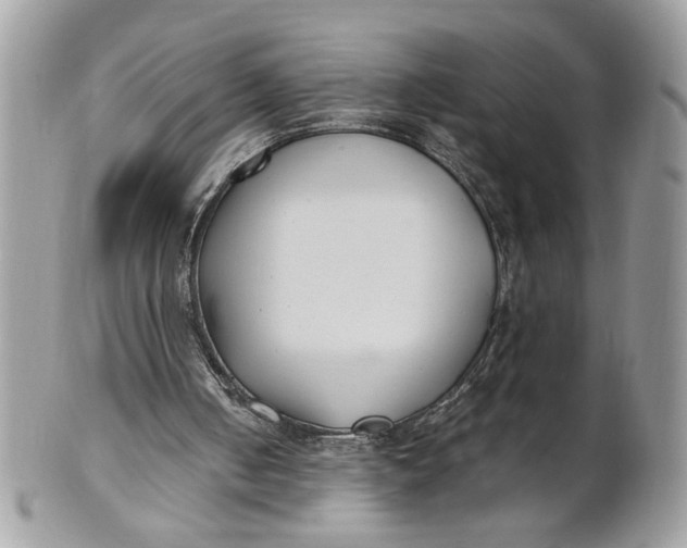 X0000100870050200807071112