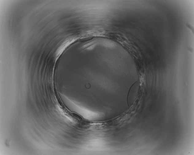 X0000100870052200807071112