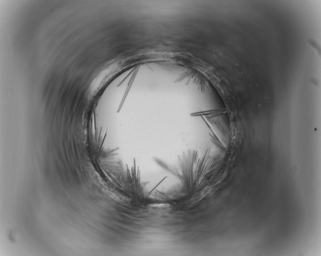 X0000100870053200807071112