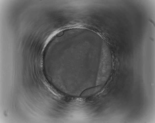 X0000100870056200807071112