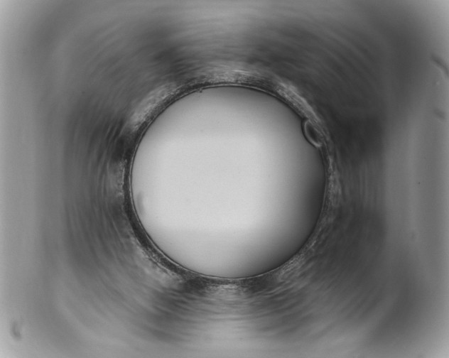 X0000100870058200807071112