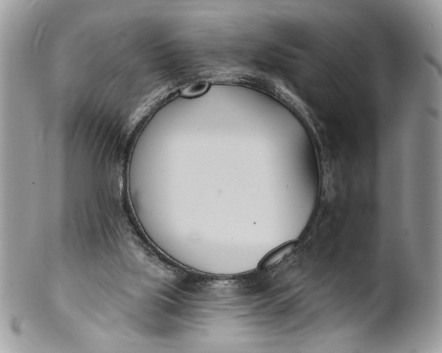 X0000100870059200807071112