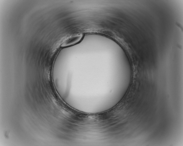 X0000100870060200807071112