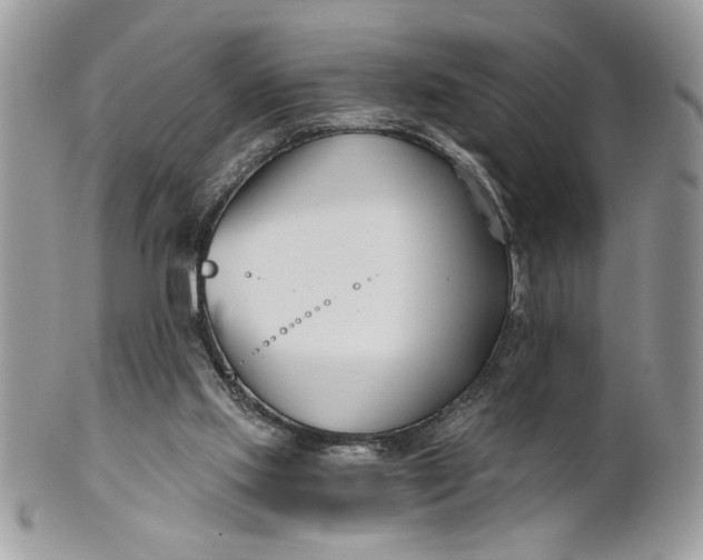 X0000100870061200807071112