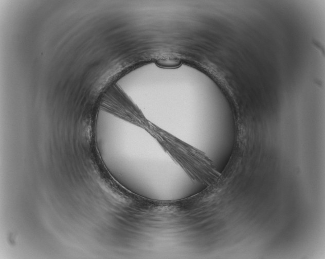 X0000100870063200807071112