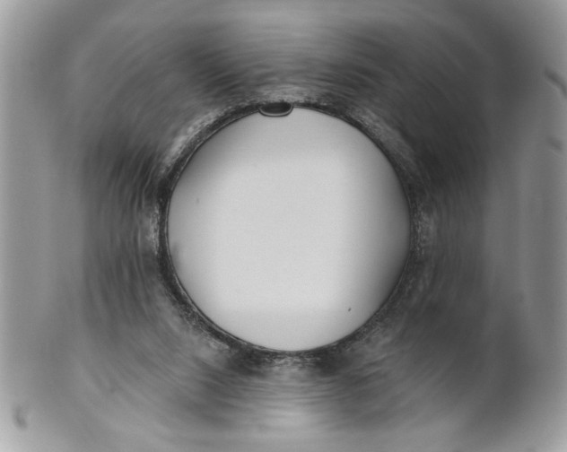 X0000100870064200807071112