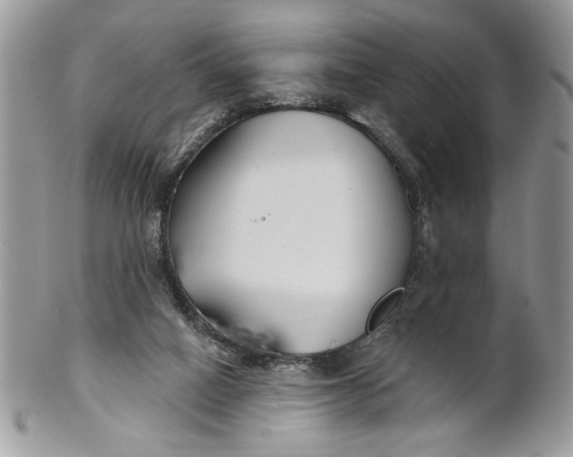 X0000100870066200807071112