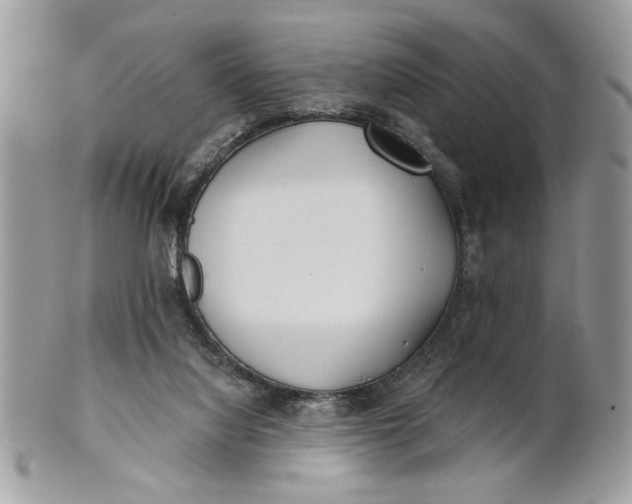 X0000100870068200807071112