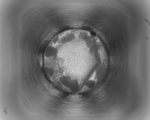 X0000100870069200807071112