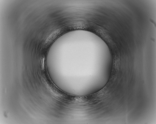 X0000100870070200807071112