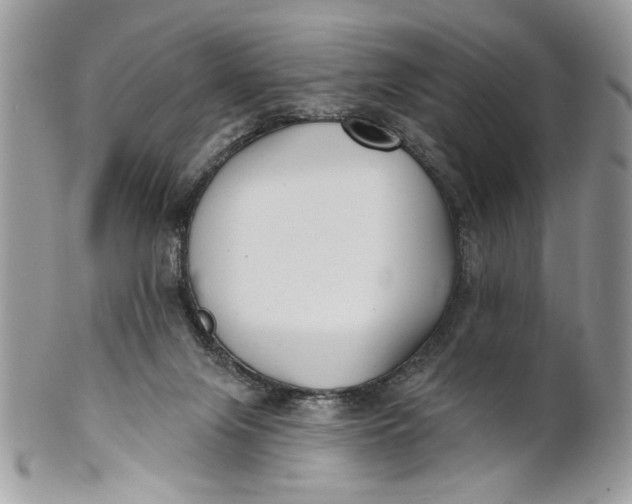 X0000100870071200807071112