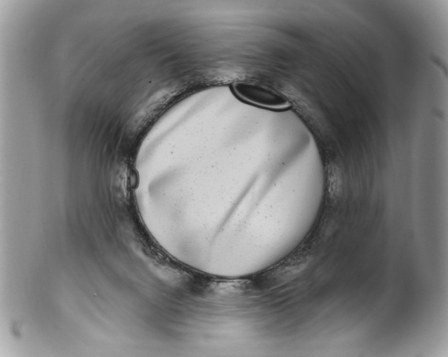 X0000100870072200807071112