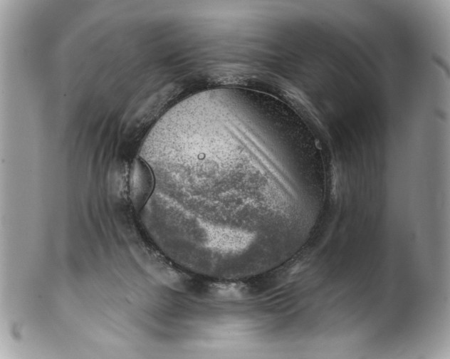 X0000100870073200807071112