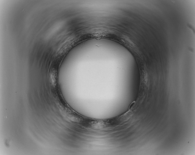 X0000100870074200807071112