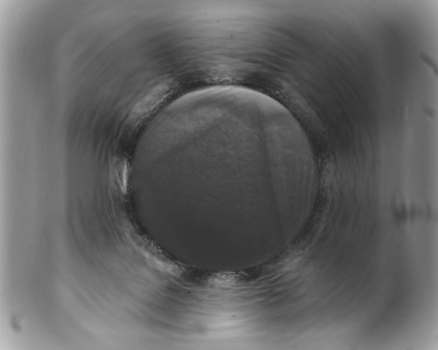 X0000100870076200807071112